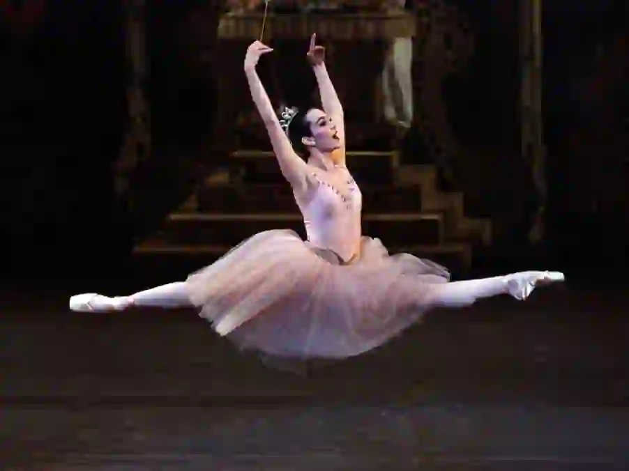 The Evolution of Ballet: Navigating Through Time and Technique