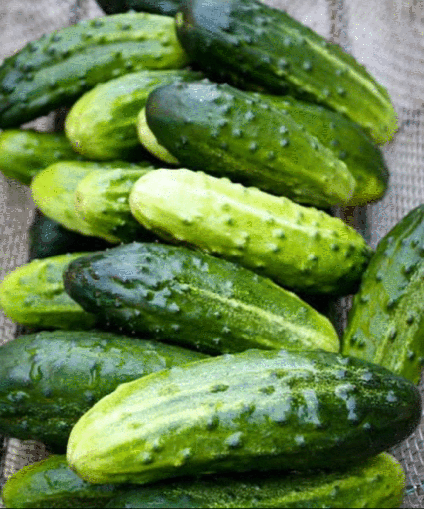 Doctors reveal that eating cucumber in salads causes