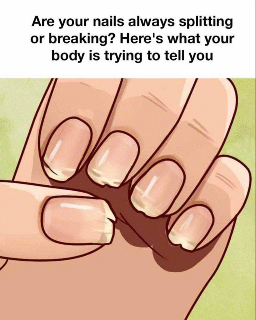 Weak or Brittle Nails: What Your Body Is Trying to Tell You