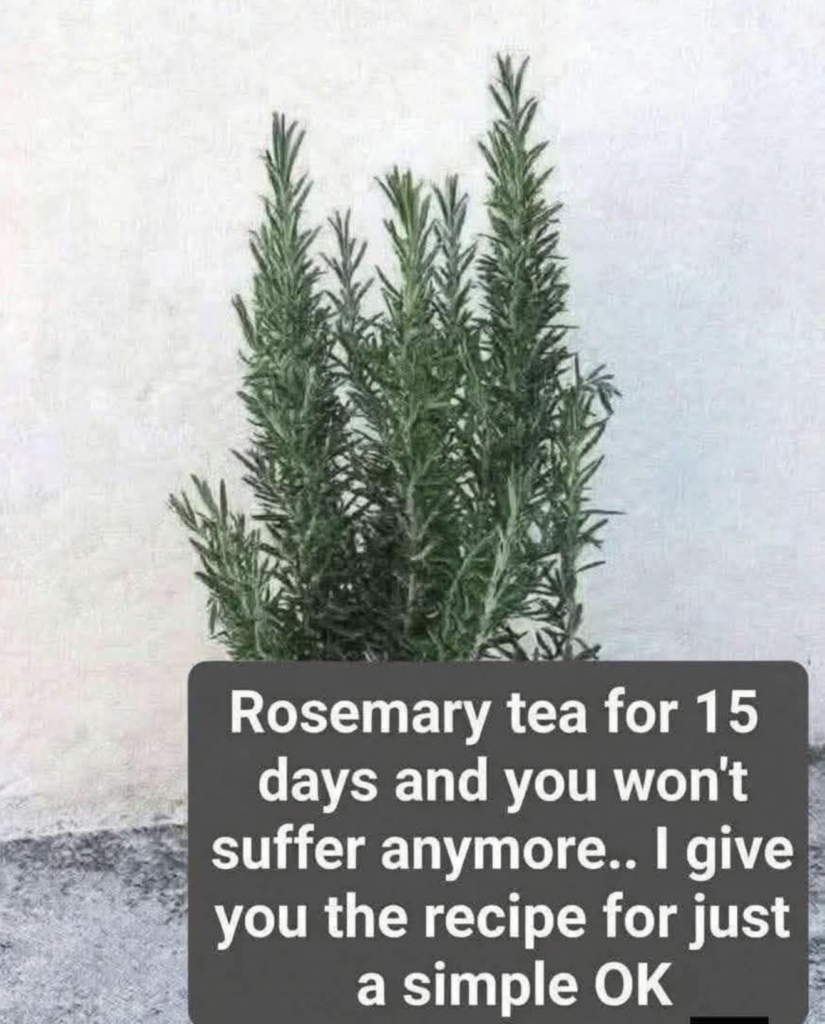 The Truth About “Natural Morphine”: Can Herbs Really Relieve Pain