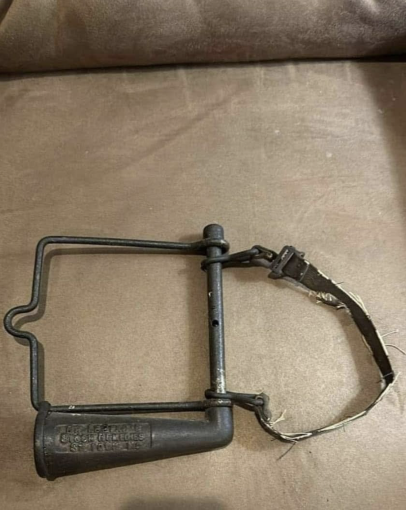 Can You Identify This Brass Beauty? The Antique Horse Drencher