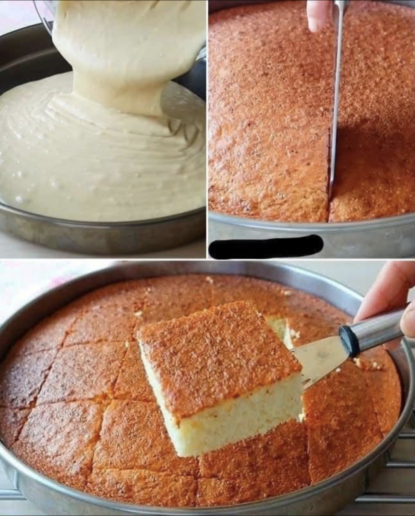 diabetic Soft & Fluffy Homemade Milk Cake
