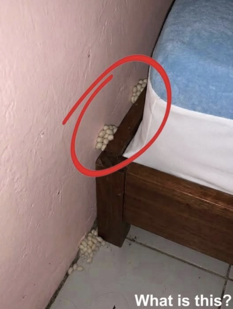 Ich kam völlig erschöpft nach Hause… und fand etwas Furchterregendes neben meinem Bett.
