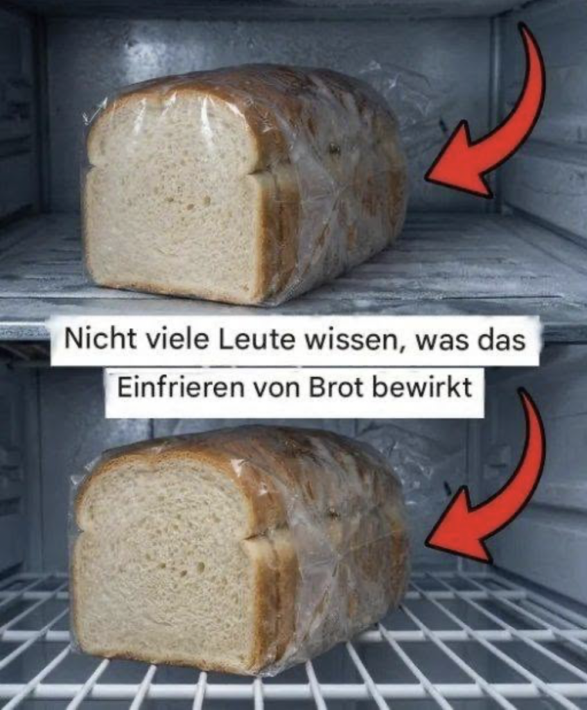 Ein praktischer Leitfaden zum richtigen Einfrieren von Brot