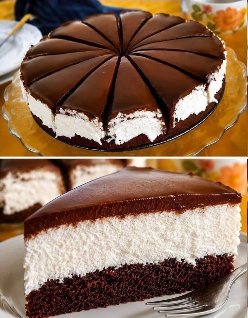 No-Bake-Schokoladen-Kokos-Kuchen – Cremiger Schokokuchen ohne Backen